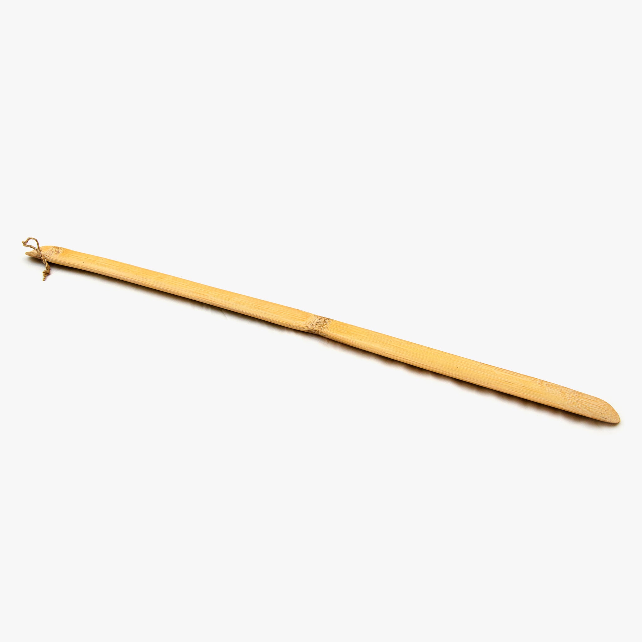 Long shoe horn